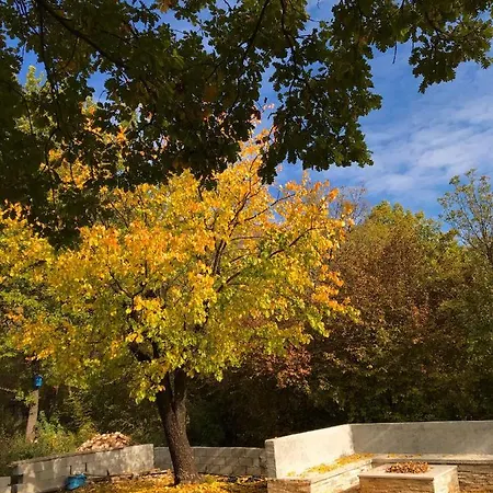 別荘 Getaway House Loko トレビニエ