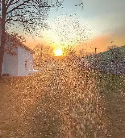 Getaway House Loko * トレビニエ