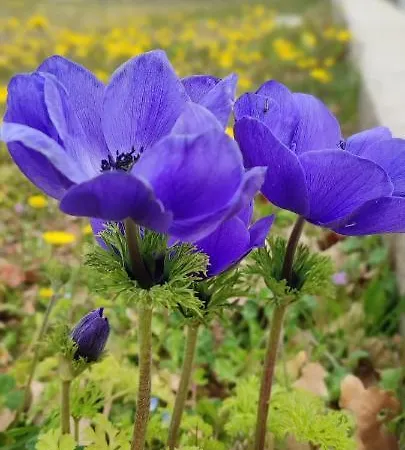 Getaway House Loko Trebinje