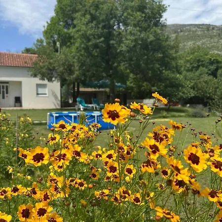 Getaway House Loko