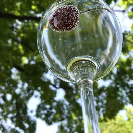 別荘 Getaway House Loko *